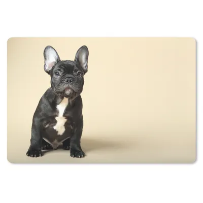 Produktbild von MuchoWow® Schreibtischunterlage Französische Bulldogge - Schwarz - Beige 60x40 cm - XXL Mauspad - Großes Mauspad