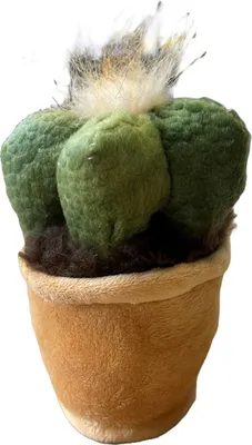 Produktbild von Take Me Home plant pluche Cactus 12-17cm 660572