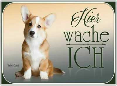 Produktbild von vianmo Holzschild 30x40 cm Hund Chihuahua hier wache ich