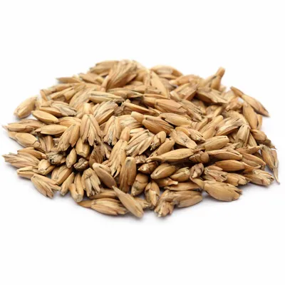 A pile of dried grains on a white background.