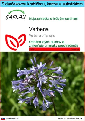 Obrázok produktu pre SAFLAX Darčeková sada - Verbena - Verbena officinalis - 250 Semená - S darčekovou krabičkou, prepravným štítkom, darčekovou kartou a pestovateľským médiom