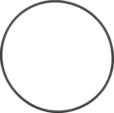 Immagine prodotto di Guarnizione di tenuta sulla flangia 14455780