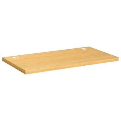 Image de vidaXL Plateau de bureau 100x60x4 cm Bambou