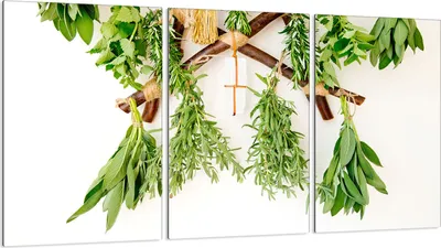 Produktbild von Herdabdeckplatten 3 teilig 30x52 Glaskeramikkochfeld Abdeckung Glas, Gewürze Grün