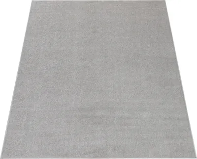 Image de Tapis pour salon, uni, à poils courts, sobre et moderne, couleur argent, dimensions 240 x 340 cm