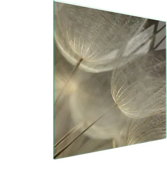 Produktbild von Glasschutzplatte Für Herd 50X52 Blume