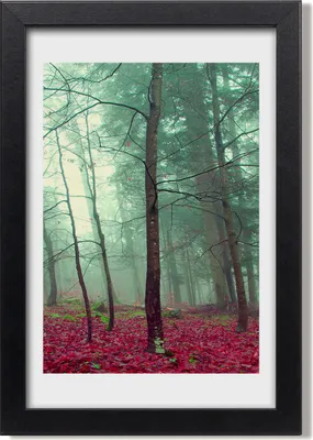 Produktbild von Bild 20x30 MDF-Rahmen, Wandkunst Herbstwald