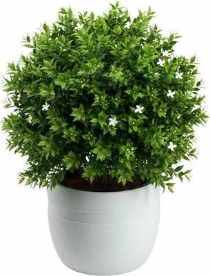 Image de HowHomely | Pot de fleurs - Pot pour plantes - blanc - L40xH32 cm - Cache-pot - Bac à fleurs - Décoratif