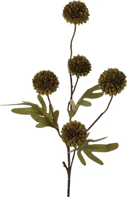 Produktbild von Künstliche Blume Pompom-Zweig 52cm dunkelgrün