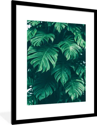 Produktbild von MuchoWow® Gerahmtes Poster Monstera - Blätter - Pflanzen - Dschungel - Natur 60x80 cm - Poster mit Schwarzem Bilderrahmen Wandposter Rahmen Foto Bilder - Wohnzimmer - Dekorationen - Prämie