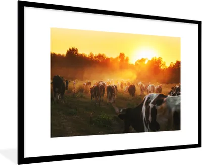 Produktbild von MuchoWow® Gerahmtes Poster Kühe - Sonnenuntergang - Wiese - Tiere 90x60 cm - Poster mit Schwarzem Bilderrahmen Wandposter Rahmen Foto Bilder - Wanddekoration - Fotos