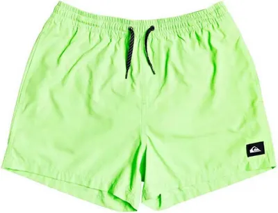 Produktbild von Quiksilver Everyday Volley 15´´ Badeshorts Grün L Mann Grün L