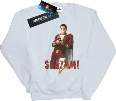 Produktbild von DC Comics - Sweatshirt für Herren BI44499 (L) (Weiß)