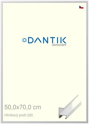 Obrázok produktu pre Rám DANTIK 50x70 | ALU profil 6220 biely matný (Plexi Clear)