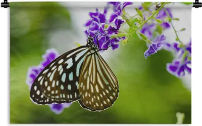 Produktbild von MuchoWow® Wandteppich Wandbehang Lavendel - Schmetterling - Botanisch 120x80 cm Tapisserie Dekoration Wandtuch - Wanddekorationen - Wandtücher