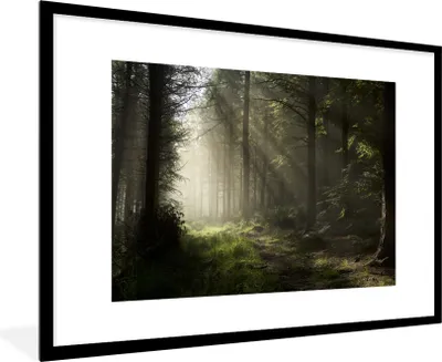 Produktbild von MuchoWow® MuchoWow® Gerahmtes Poster Wald - Baum - Nebel 90x60 cm - Poster mit zchwarzem Bilderrahmen - Wanddekoration - Fotos