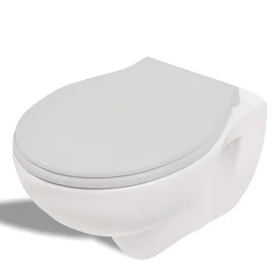 Produktbild von Sanit WC-Deckel 2100 Manhattan mit Softclose Edelstahl-Scharnieren | Duroplast