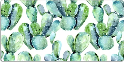 Produktbild von Schreibtischmatte Tischunterlage 120x60 cm Mauspad - Aquarellkaktus.