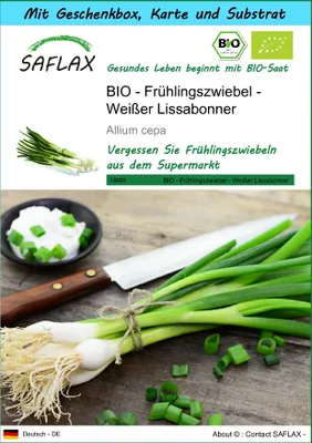 Produktbild von SAFLAX Geschenk Set - BIO - Frühlingszwiebel - Weißer Lissabonner - Allium cepa - 150 Samen - Mit Geschenkbox, Versandaufkleber, Geschenkkarte und Anzuchtsubstrat