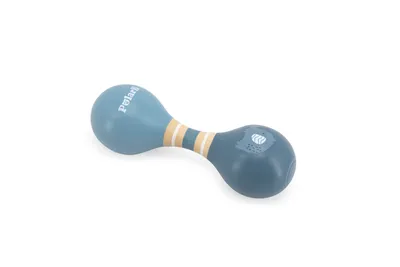 Zdjęcie produktu dla VIGA PolarB Marakas Instrument Muzyczny dla Dzieci Grzechotka