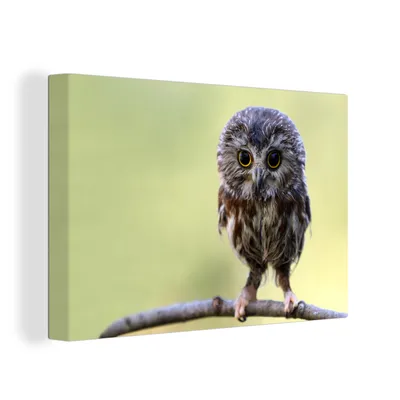 Obrázek produktu pro OneMillionCanvasses® Malba na plátně Nástěnná malba na plátně - Sova - Pták - Les - 150x100cm