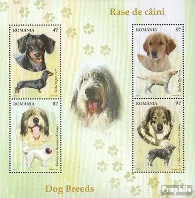 Produktbild von Briefmarken Rumänien 2012 Mi Block536 (kompl.Ausg.) postfrisch Hunderassen