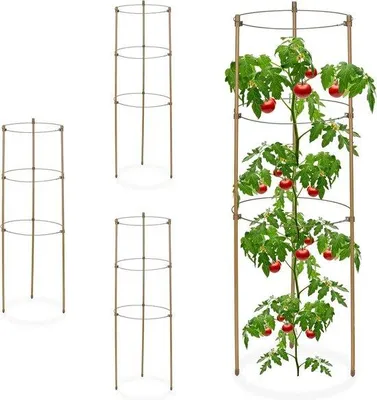 Produktbild von Famanu Pflanzenstützen mit Ringen - Tomatenstütze Set von 4 - Metall & Kunststoff - 60 cm - 3 verstellbare Ringe