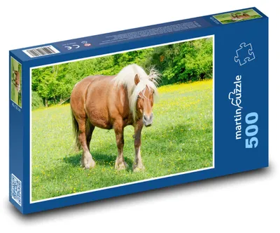Obrázok produktu pre martinpuzzle - Puzzle 500 - Kôn na pasienku