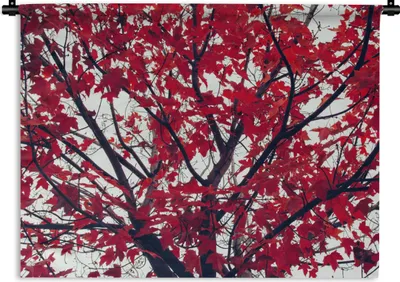 Produktbild von MuchoWow® Wandteppich Wandbehang Ahorn - Blätter - Herbst - Natur 150x112.50 cm Tapisserie Dekoration Wandtuch - Wanddecke - Wandteppiche