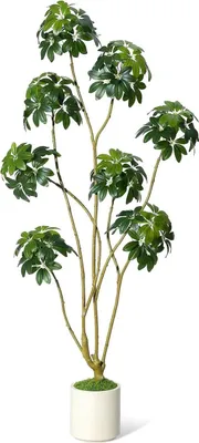 Obrázok produktu pre Umelo vyzerajúca rastlina Schefflera – tropický stromček v kvetináči – výška 150 cm – dekorácia do obývačky, kancelárie alebo na balkón – realistická dekoratívna rastlina – darček pri sťahovaní – zelená