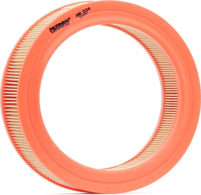 Produktbild von FILTRON Luftfilter AR 224, rund, H 56mm, Øa 227mm, Øi 174mm für DACIA NOVA, FORD