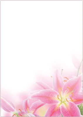 Produktbild von Motiv Briefpapier (Blumen-5052, DIN A4, 25 Blatt). Einseitig bedrucktes Briefpapier, beschreibbar, für alle Drucker/Kopierer geeignet, Motivpapier mit wunderschönen rosa Lilien