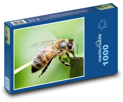 Produktbild von Puzzle 1000 Biene auf der Wiese - martinpuzzle