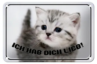 Produktbild von Blechschild Katze 18x12cm ich hab dich lieb Geschenk