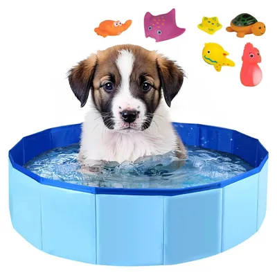 Imagen del producto de Piscina para perros, pequeña, plegable, de 50 x 10 cm, con juguetes para el agua, ideal para el jardín