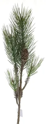 Produktbild von Weihnachtsdeko Kiefernzweig Grün mit Zapfen 85 cm - Kunstpflanzen