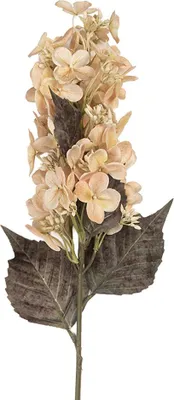 Obrázek produktu pro Clayre & Eef Dekorace Větev 8x8x72 cm Béžová plastová