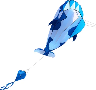 Produktbild von Lixada 3D Wal-Drachen, geeignet für Kinder und Erwachsene, Größe 120*215 cm.
