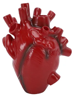 Obrázok produktu pre Váza z umelej živice, kvetináč, anatomické srdce, doska stola, dekoratívne remeselné výrobky, pracovná doska, umelecké predmety do obývacej izby, Sch