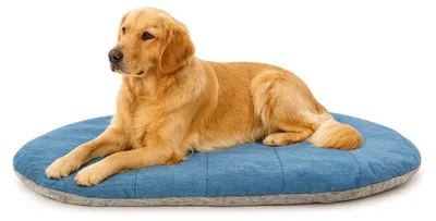 Image de HiPet panier pour chien ovale imperméable Bleu 91 x 65 cm – coussin réversible en tissu Oxford avec dessous antidérapant, intérieur et extérieur