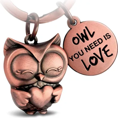 Produktbild von FABACH Eule Schlüsselanhänger Owly mit Herz und Gravur - Süßer Schlüsselanhänger Eule - Freundschaft und Liebe Glücksbringer aus Metall für Frauen - Owl You Need is Love