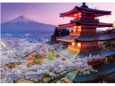 Image de Puzzle le mont fuji 2000 pièces - collection japon - educa - 16775