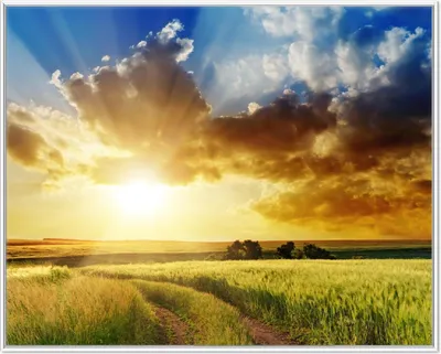 Produktbild von Wallario Wandbild Feldweg in den Sonnenuntergang, Größe: 40,30 x 50,30 cm, Poster mit weißem Aluminiumrahmen