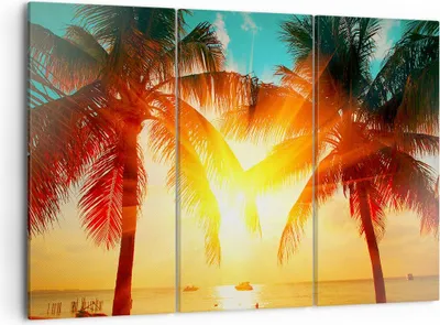 Produktbild von Bild auf Leinwand - Leinwandbild - Meer Palme Wasser - 105x70cm - Wand Bild - Wanddeko - Wandbilder - Leinwanddruck - Bilder - Kunstdruck - Wanddekoration - Leinwand bilder - Wandkunst - CE105x70-4018