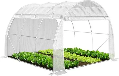Produktbild von Famanu Foliengewächshaus Winterfest mit aufrollbaren Seitenwänden - 3 x 3 x 2 m, 9 m², weiß