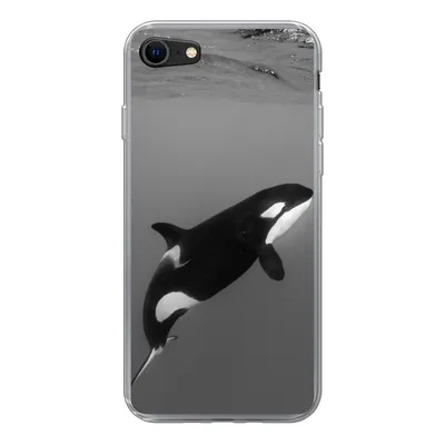 Produktbild von MuchoWow® Handyhülle Schutzhülle Hülle für iPhone 8 Orca - Wasser - Tiere Silikon Softcase Handy Hülle - Schutzhaube