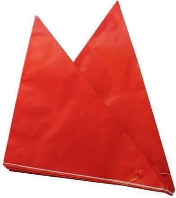 Produktbild von Spitztüten ROT, 19 cm, 125 g, 1000 Stück