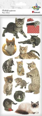 Image de Autocollants papier chats avec paillettes 13 pièces Titanum