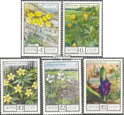 Produktbild von Briefmarken Sowjetunion 1975 Mi 4428-4432 (kompl.Ausg.) postfrisch Blumen