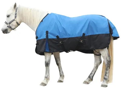 Productafbeelding van Paardendeken - Regendeken paard - 145 cm - Blauw-zwart